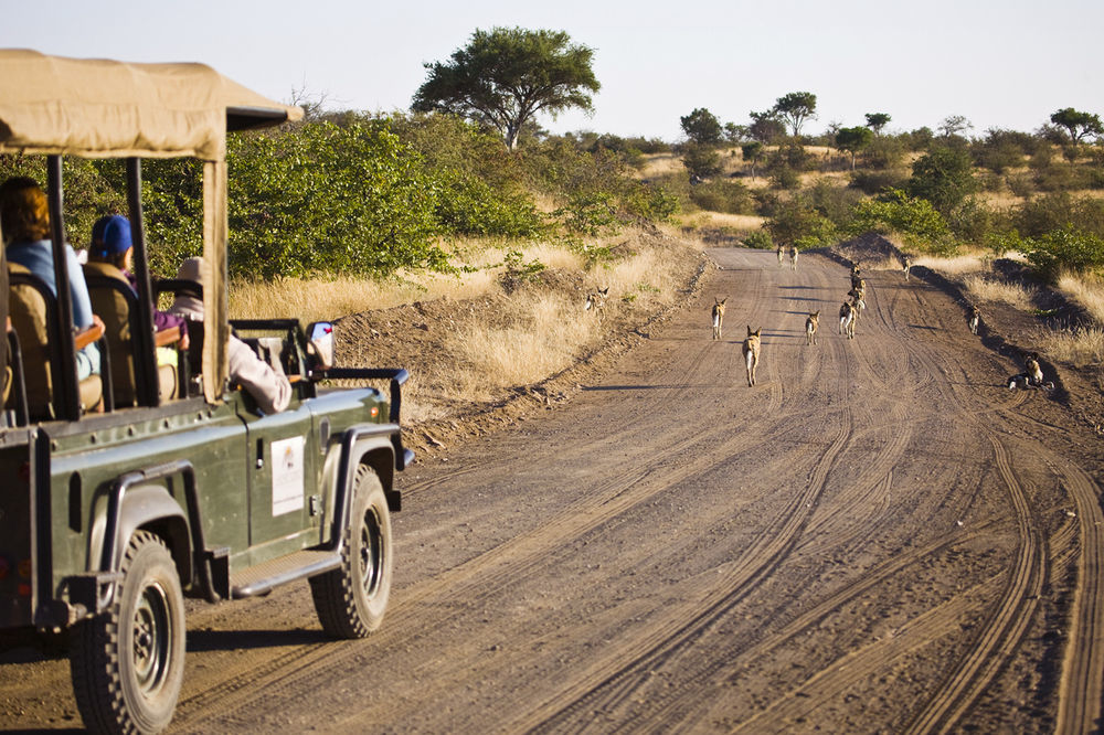 Tuli Safari Lodge Lentswelemoriti Екстериор снимка